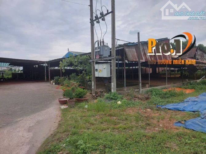 Cho thuê đất và xưởng 5000m2 Phước Tân, Biên Hòa, Đồng Nai - 1