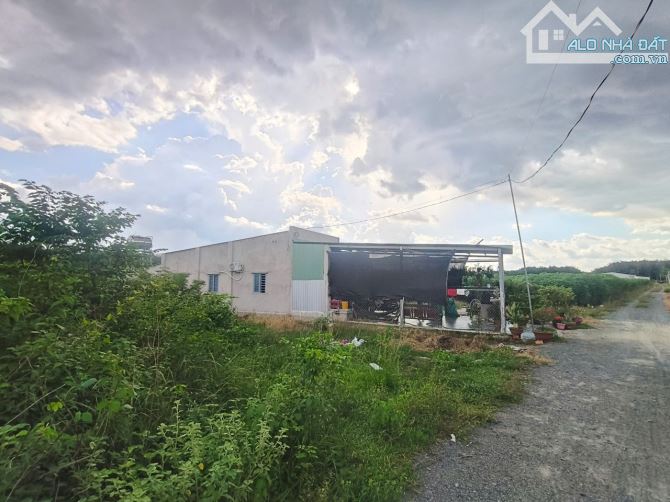 Đất Vuông HXT 125m2 (55m2 ONT) – Kênh Đông TN - 1