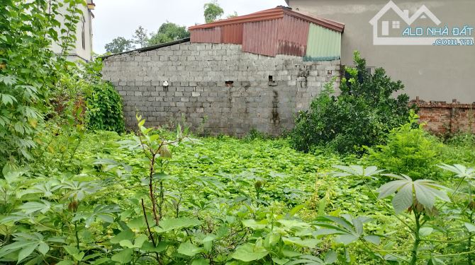 Hàng hiếm DT 105m full thổ cư tại Chương Mỹ  Đường ô tô thông  Giá đầu tư nhỉnh 1tỷ - 1