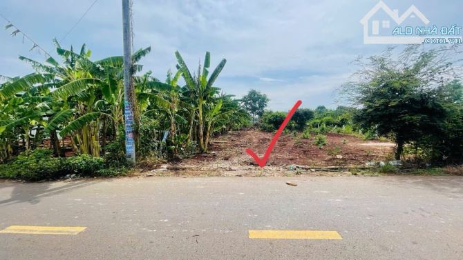Đất gần chợ Đất Đỏ. Chỉ 1 tỷ xxx - 1