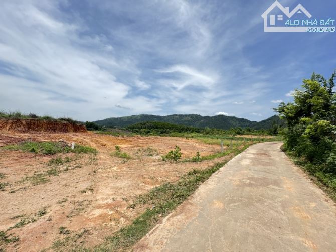 🌿 3490m² ĐẤT ĐẸP – LÔ GÓC – MẶT TIỀN RỘNG 🌿 - 1