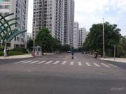 Ngộp nặng bán gấp nền đất Nguyễn Xiển Quận 9, Giá 2tỷ6, SHR. - 1