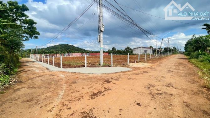 🚀 2 Lô Liền Kề Trục Chính Kom Leo – Giá Chỉ 2 Tỷ – Đầu Tư Là Thắng! - 1