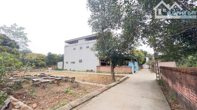 Bán lô góc 100m tại đồng trạng cổ đông. Gần làng đại học quốc gia tại hòa lạc - 1