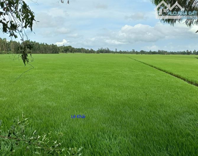 🔰 Bán đất lúa: 36.000m²(Mặt tiền 110m, nở hậu) 🔰 Đường đá xe ba gác, xã Ba Sao - 1
