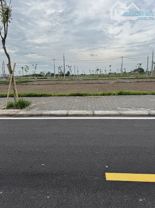 ĐẤT ĐẤU GIÁ VIEW CÔNG VIÊN – CƠ HỘI ĐẦU TƯ VÀNG TẠI QUẤT LÂM 108m2 MT6m - 1