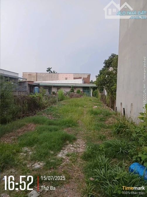 CHỈ NHỈNH 30 TRIỆU/M² – LÔ ĐẤT VĨNH PHÚ SIÊU ĐẸP 📍 Cách TP.HCM chỉ 1 phút di chuyển, gần - 1