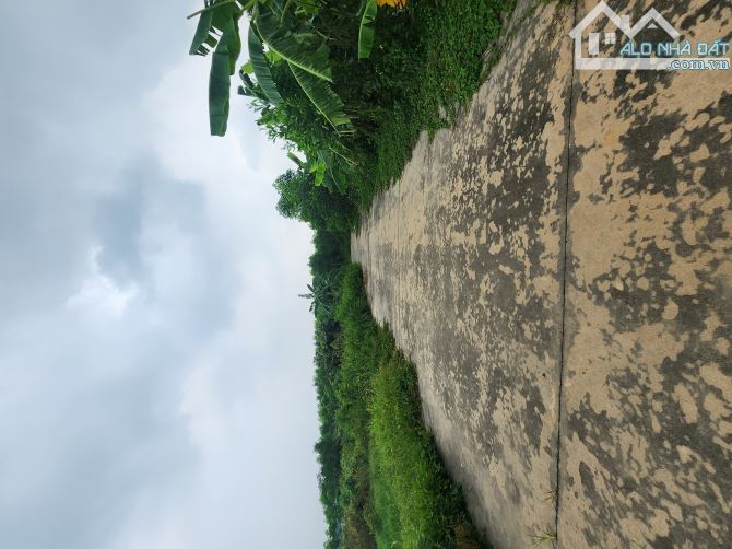 Bán 4000m2 đất Trang Trại do nha Phương Liễu giá 10 tỷ - 1