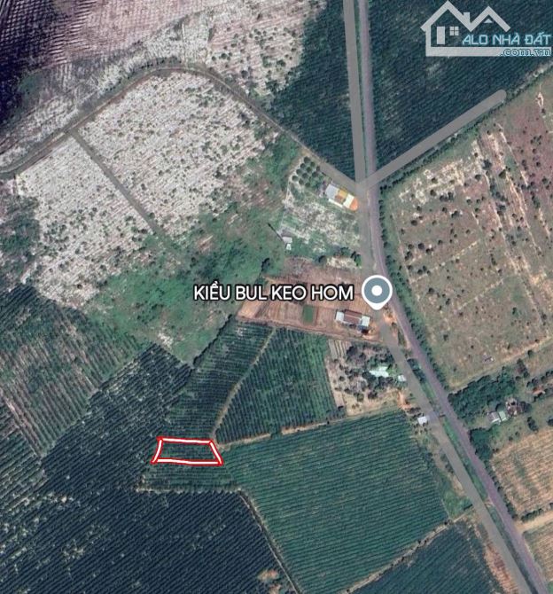 khả năng Đầu Tư Vàng: 1033m2 Đất Thổ Cư Quốc Lộ 55, Hàm Tân - Bình Thuận, Chỉ 1 Tỷ! - 1