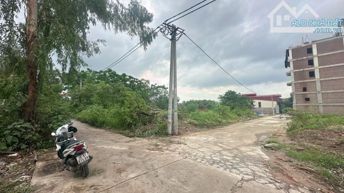 BÁN ĐẤT GIÃN DÂN_NGỌC LỊCH _ TRƯNG TRẮC _ VĂN LÂM_HƯNG YÊN - 1