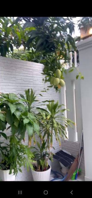Nhà 3 tầng mặt tiền Trần Thị Tính Phường Nam Nha Trang dt 107m2 ngang 5,33m - 1