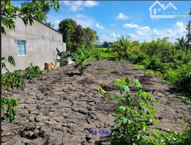 🔰 Bán nền: 862m² (12m x 72m, thổ 140m²) 🔰 Đường đan xe ô tô, xã Mỹ Quý, Đồng Tháp - 1