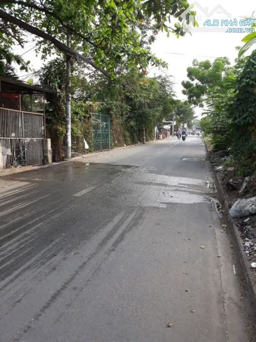 Bán nhà MT Kênh 19/5 Tân Phú 5.1x53m gác lửng giá 18.9 tỷ TL (cách Hương Lộ 3 tầm 200m) - 1