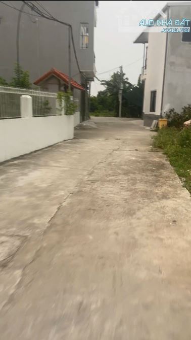 Chuyển Nhượng 137.5m Đât TDP Văn Cú, Phường An Hải,Hải Phòng. - 1