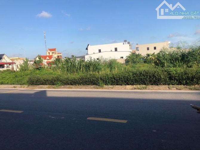 🆘🆘🆘Siêu phẩm đất mặt đường 404 Đoàn Xá, Kiến Thuỵ, Hải Phòng 175m - 1