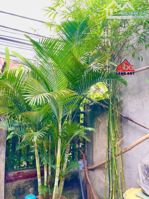 NP134 Bán nhà vị trí 2 Đồng Khởi Ngay chợ 26 Tân Phong - 1