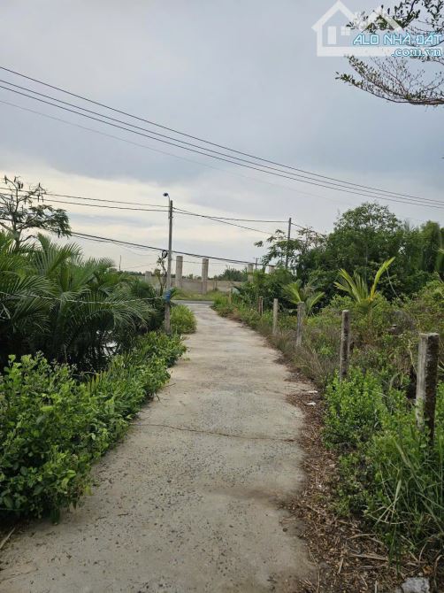 bán Lô Đất Tại Xã Bình Khánh, Huyện Cần Giờ, TP Hồ Chí Minh. - 1