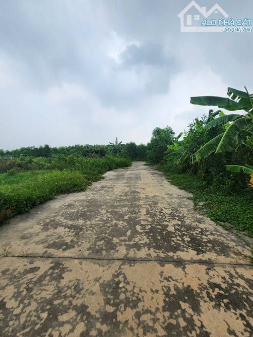 ⛳Bán Khu Đất Trang Trại Do Nha, Phương Liễu, Đường Xe Container Mt 50m Dt 4000m2 Giá 10 Tỷ - 1