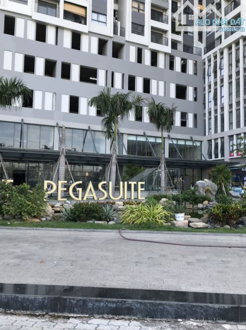 Cần bán căn hộ chung cư The Pegasuite 1. Phố Tạ Quang Bửu, Phường 6, Quận 8, diệ - 1