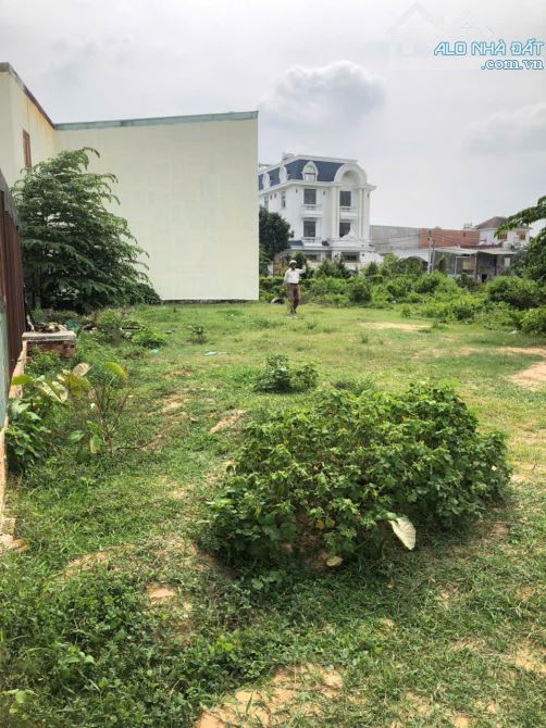 ĐẤT BÌNH HOÀ TPHCM DƯỜNG Ô TÔ DT 318 M2 GIÁ 4,3 TỶ TL - 1