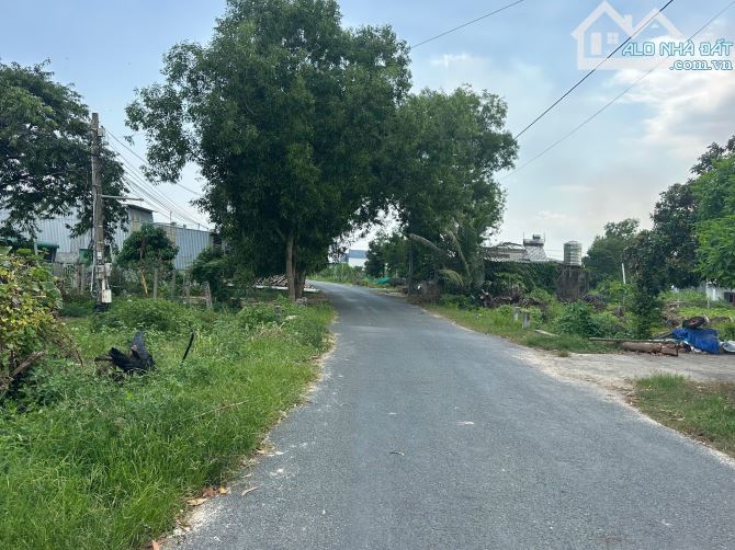 Bán 5m x 45m đất ODT Nguyễn Thông - Tân Bình - TX LaGI giá ngộp 1.2 tỷ - 1