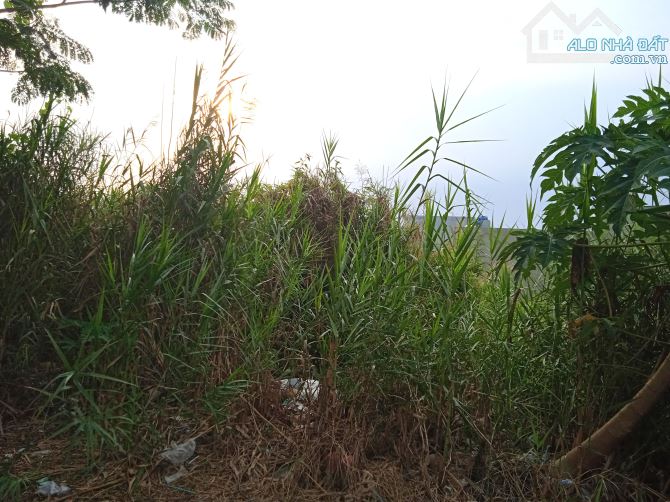 Bán đất thổ cư góc 2 mặt tiền đường 20m và 10m khu C45 Nguyễn Văn Tạo - 1
