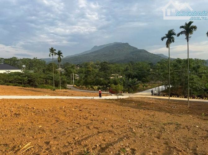 13 tỷ sở hữu 4438m2 có 800m2 đất ở, View núi cánh đồng, đất Ba Trại, Ba Vì - 1