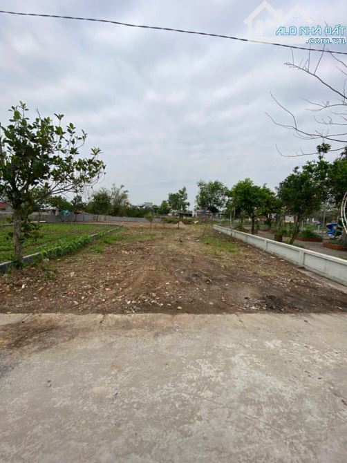 BÁN GẤP LÔ ĐẤT DIỆN TÍCH “KHỦNG” 219M² – MẶT TIỀN 8M – TÂY SƠN, KIẾN XƯƠNG .Chỉ Nhỉnh 2 tỷ - 1