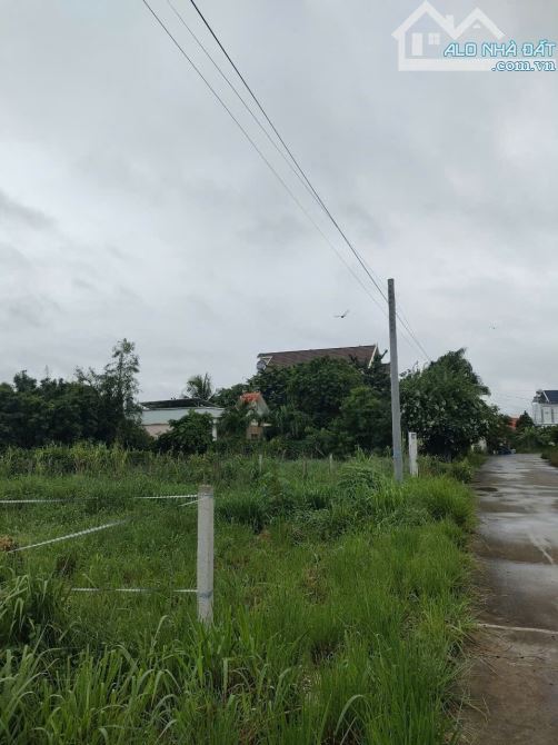Bán gấp đất Bình Lợi, Vĩnh Cửu. Sổ riêng thổ cư (D054) - 1