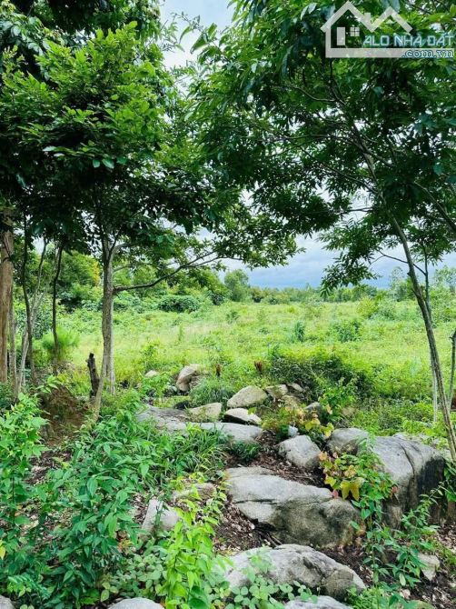 LÔ ĐẤT VƯỜN CỰC RỘNG NGAY CHÂN NÚI XÃ LONG ĐIỀN -TP HCM 📐Diện tích 13000m2 mặt tiền đường - 1
