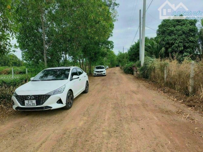 💥Bán Đất 2  Mặt Tiền An Tây 065 – Tây Nam, TP.HCM | 12x40m – Giá Chỉ 2 Tỷ 9💥 - 1