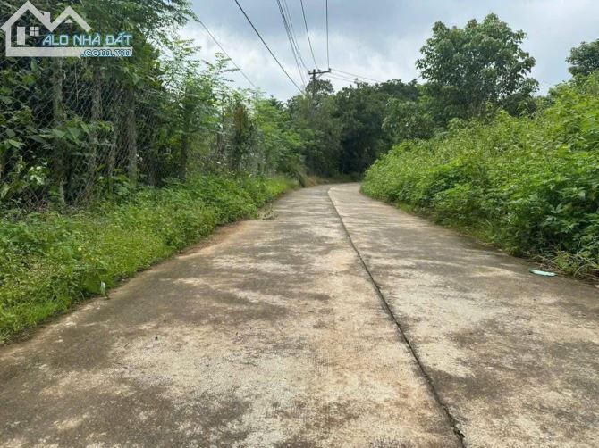 Cần bán 2 sào đất vườn, mặt tiền bê tông 20m, đất vuông vức đẹp.
