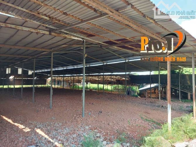 Cho thuê đất và xưởng 5000m2 Phước Tân, Biên Hòa, Đồng Nai - 2