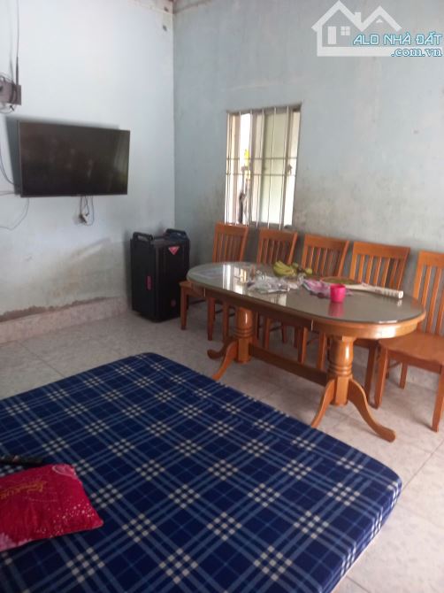 Bán Đất tặng Nhà-Phú Mỹ-Tuyên Quang(Hàm MỸ cũ)-Lâm Đồng-370m2,có 200m2TC - 2