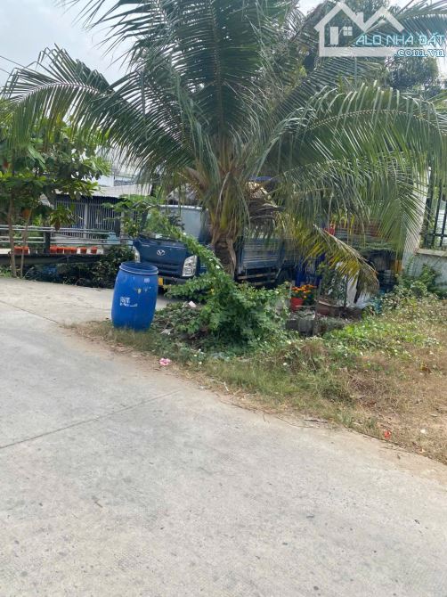 CẦN BÁN LÔ ĐẤT VƯỜN 663m2 MẶT TIỀN ĐƯỜNG GIAO THÔNG HÀO TÂN QUÝ TÂY BÌNH CHÁNH - 2