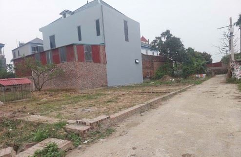Chỉ 2.1 tỷ bạn đã sở hữu lô đất 50m2, full thổ cư, đường ô tô tại tổ 9 Mê Linh - 2
