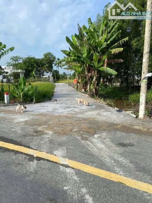 BÁN ĐẤT THỔ CƯ 5x30M - MẶT TIỀN ĐƯỜNG CHÙA TÀO KHÊ, ẤP 1, LONG KHÊ, CẦN ĐƯỚC - LONG AN - 2