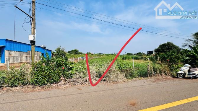 🔺XÃ ĐẤT ĐỎ TP HỒ CHÍ MINH CÁCH BIỂN HỒ TRÀM 15phút   DT 1000m2 có 100tc ngang 11,4x89m  ✅ - 2