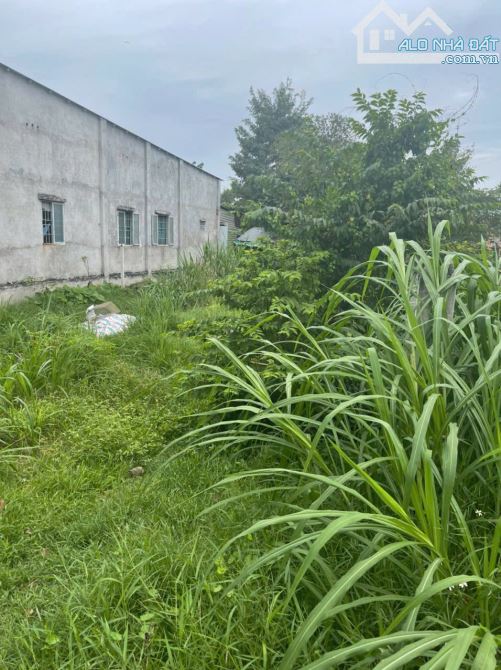 Cần bán đất mặt tiền đường số 16 1/ QL22 xã Tân Thông Hội 9x28 tổng 250m2 thổ cư sẳn 220m2 - 2