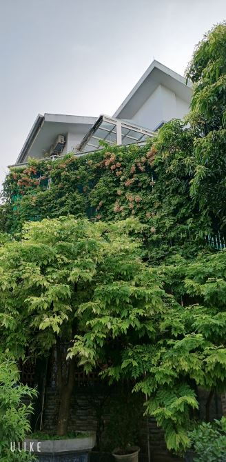 💎 BIỆT THỰ XUÂN PHƯƠNG – LÔ GÓC ĐẲNG CẤP – VIEW CÔNG VIÊN - 2