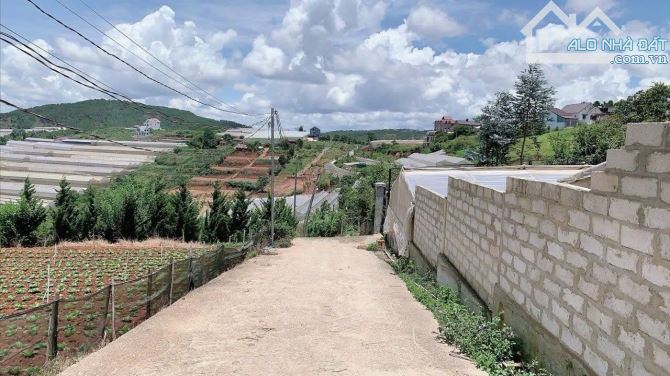 Bán 328m2 Đất Biệt Thự Măng Lin, Phường 7, TP. Đà Lạt – View Thoáng, Full Thổ Cư - 2