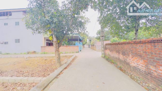 Bán lô góc 100m tại đồng trạng cổ đông. Gần làng đại học quốc gia tại hòa lạc - 2