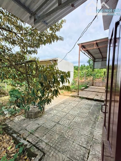 CĂN NHÀ VƯỜN 5000M2 - VIEW SÔNG LÂM HÀ - LÂM ĐỒNG - BÁN LỖ SÂU TỪ 12 TỶ CÒN 6,9 TỶ - 2