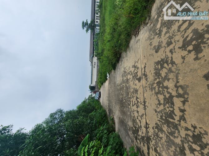 Bán 4000m2 đất Trang Trại do nha Phương Liễu giá 10 tỷ - 2