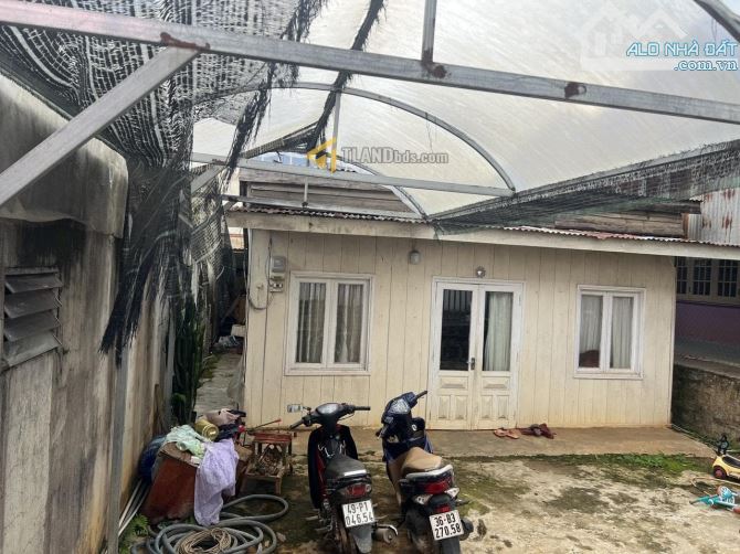 NHÀ CẤP 4 ĐANG KINH DOANH NGAY GẦN CHỢ PHƯỜNG 12 157M2 NGANG 7M 5TY5 ĐÀ LẠT - 2