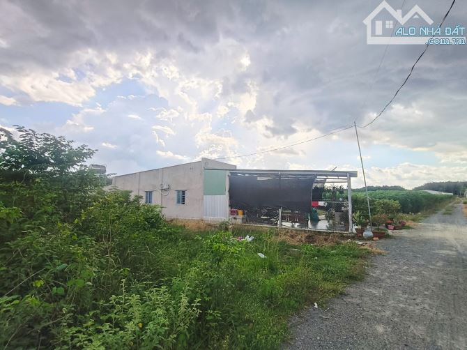 TÂY NINH, BÁN LÔ ĐẤT XÃ DƯƠNG MINH CHÂU DT 5x25m THỔ CƯ 125m2, GIÁ 550 triệu - 2