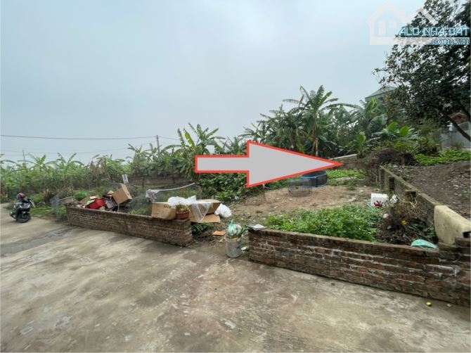 ĐẤT ĐẤU GIÁ KIM SƠN- LÔ GÓC- PHÂN KHÚC HỮU HẠN- Ô TÔ TẢI TRÁNH - 2