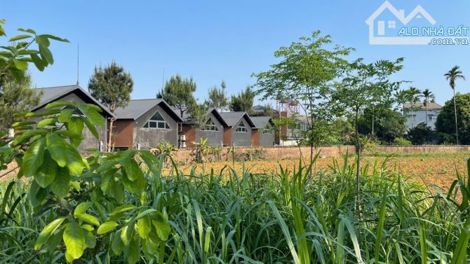 Bán gấp lô đất mặt đường Khoang Xanh, Vân Hòa, Yên Bài, Ba Vì 955m, k.doanh, TT xã, 10.8tỷ - 2