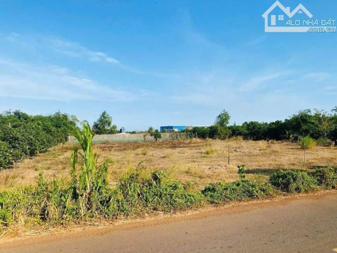 🚨 XẢ GẤP – ĐẤT MẶT TIỀN PHẠM HÙNG – NGAY CỔNG KCN – ĐẤT ĐỎ, BRVT 🚨 - 2
