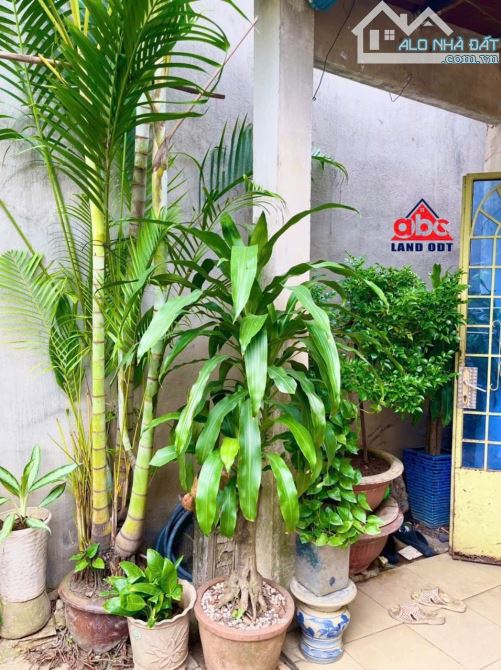 NP134 Bán nhà vị trí 2 Đồng Khởi Ngay chợ 26 Tân Phong - 2